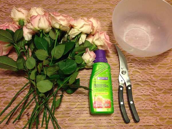 Что сделать, чтобы дольше стояли розы в вазе с водой: полезные советы от флориста